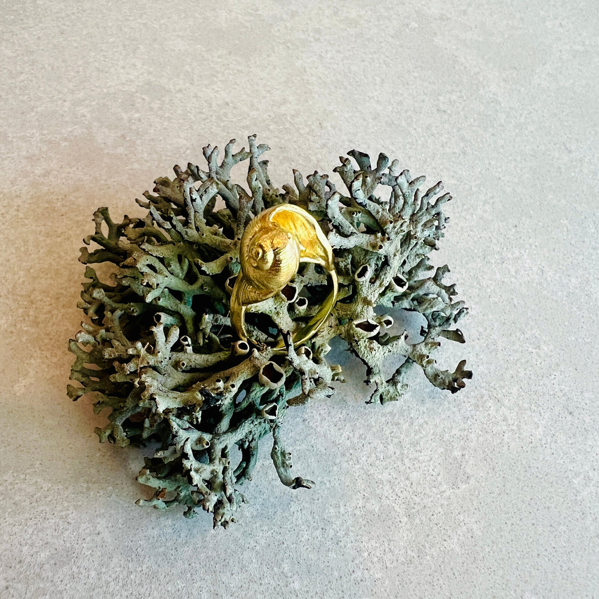 LOVE LEE OR Ring Spiral Shell Ring